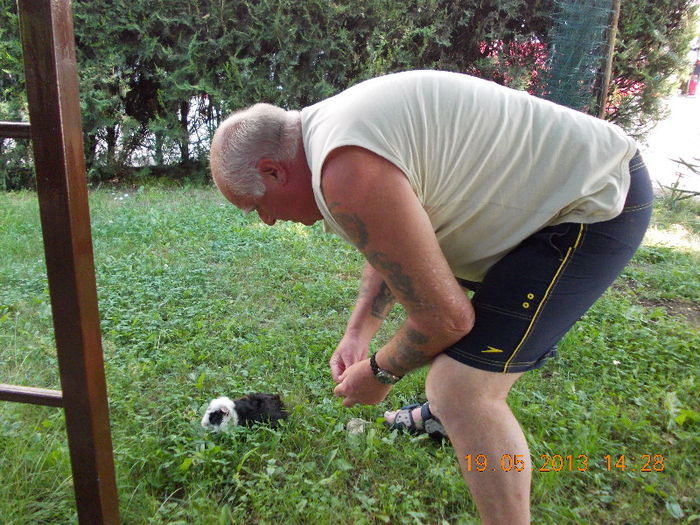 sunny beach bulgaria, mai 2013 096