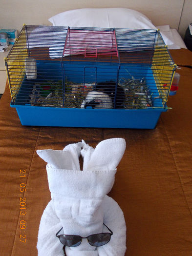 sunny beach bulgaria, mai 2013 117