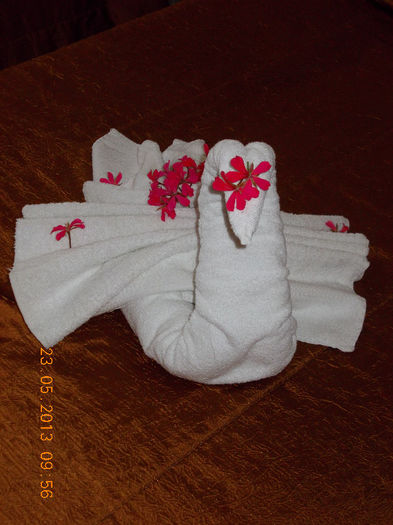 sunny beach bulgaria, mai 2013 121 - sunny beach bulgaria 2013