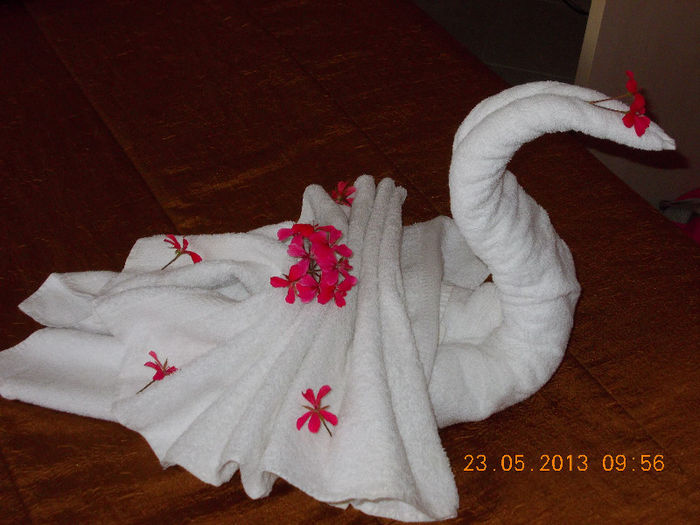 sunny beach bulgaria, mai 2013 123 - sunny beach bulgaria 2013