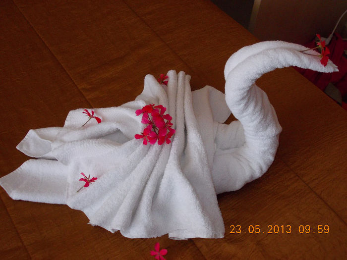 sunny beach bulgaria, mai 2013 128