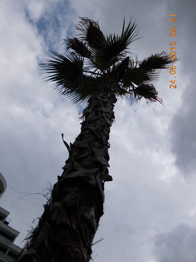 sunny beach bulgaria, mai 2013 146 - sunny beach bulgaria 2013