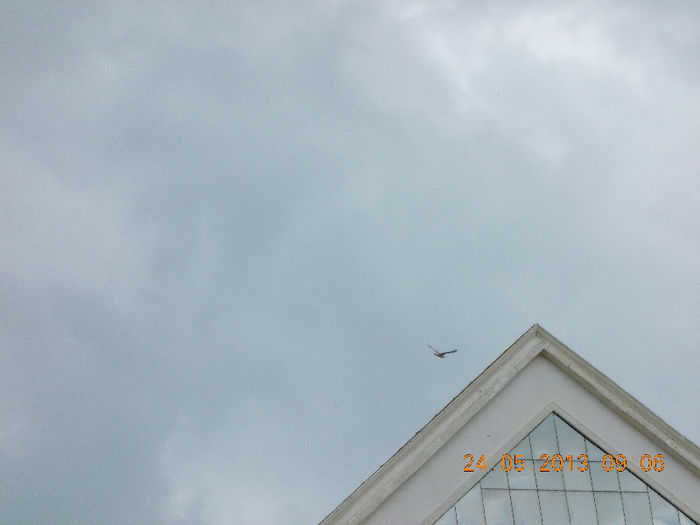 sunny beach bulgaria, mai 2013 168