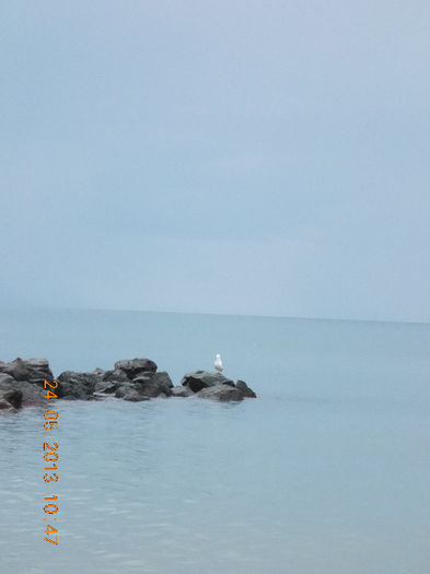 sunny beach bulgaria, mai 2013 235 - sunny beach bulgaria 2013