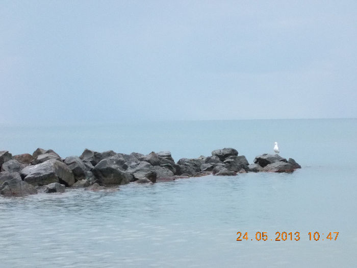 sunny beach bulgaria, mai 2013 236 - sunny beach bulgaria 2013