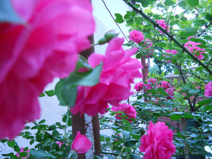 DSCN3272
