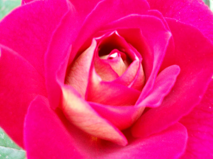 DSCN3266