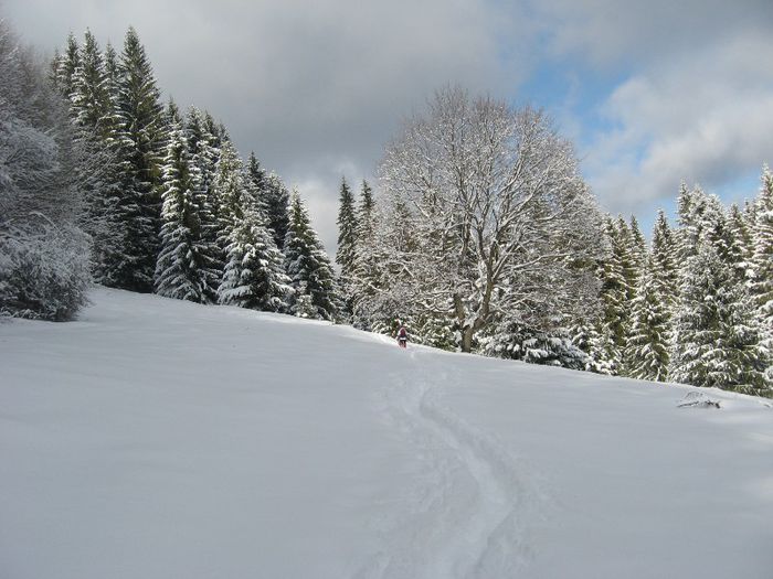 dupa cabana   pornim pe marcajul de Cheile Rasnoavelor