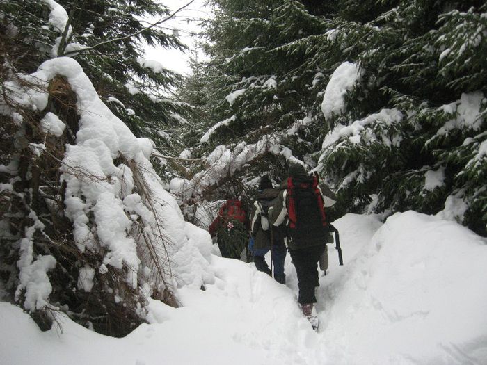 pe Galma -spre soseaua  de Paraul Rece