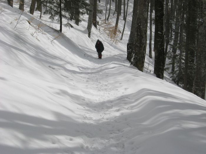 IMG_7444 - drumetii ian-martie 2013