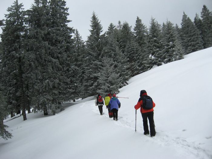 IMG_7452 - drumetii ian-martie 2013