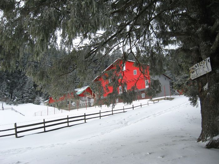 IMG_7454 - drumetii ian-martie 2013