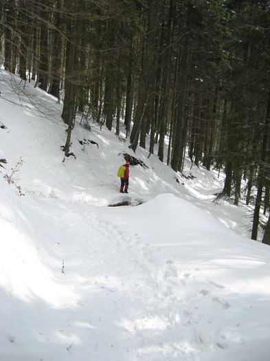 pe acelasi drum - drumetii ian-martie 2013