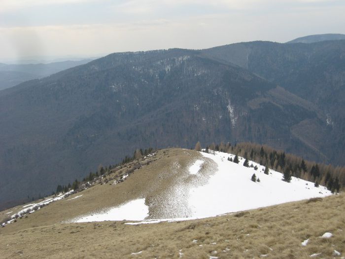 IMG_7652 - drumetii ian-martie 2013