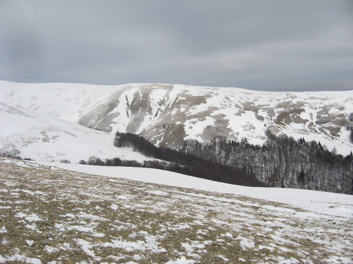 IMG_7666 - drumetii ian-martie 2013