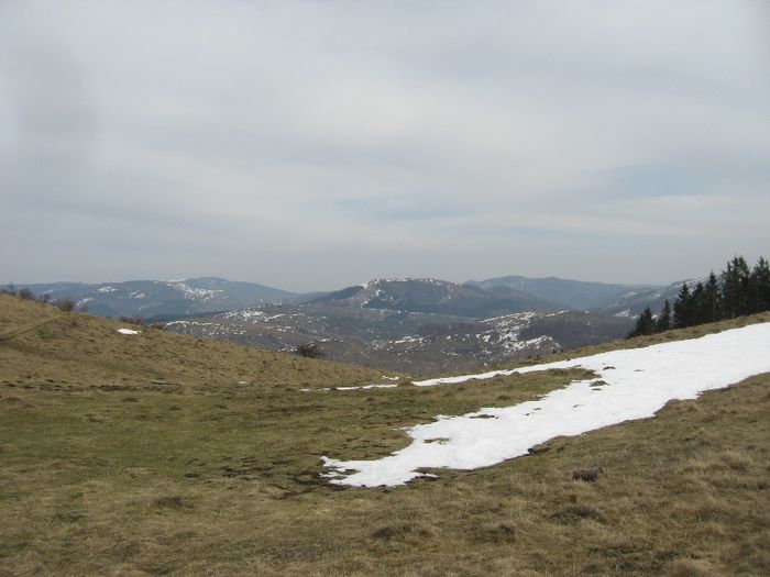 IMG_7704 - drumetii ian-martie 2013