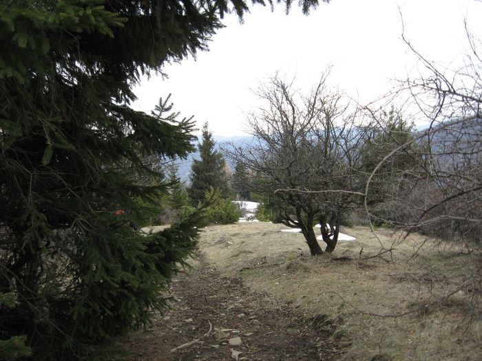 IMG_7705 - drumetii ian-martie 2013