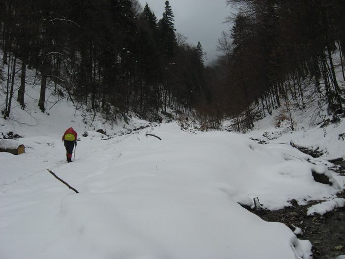 IMG_7866 - drumetii ian-martie 2013