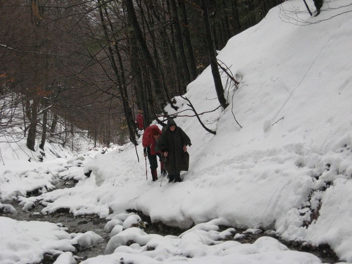 IMG_7869 - drumetii ian-martie 2013