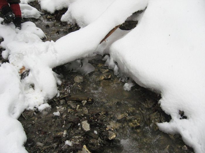 IMG_7873 - drumetii ian-martie 2013