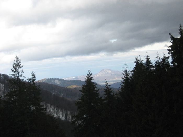 IMG_7893 - drumetii ian-martie 2013