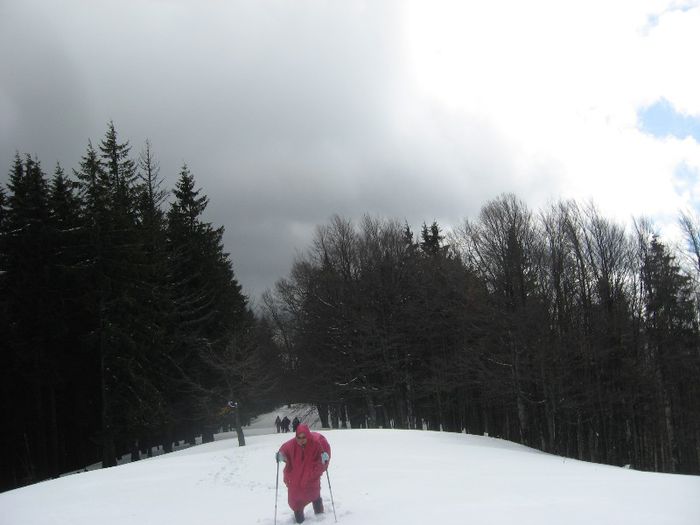 urcam si apoi vom cobori la Dihamul MIlitar - drumetii ian-martie 2013