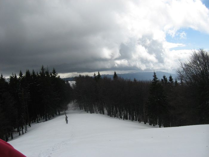 IMG_7912 - drumetii ian-martie 2013