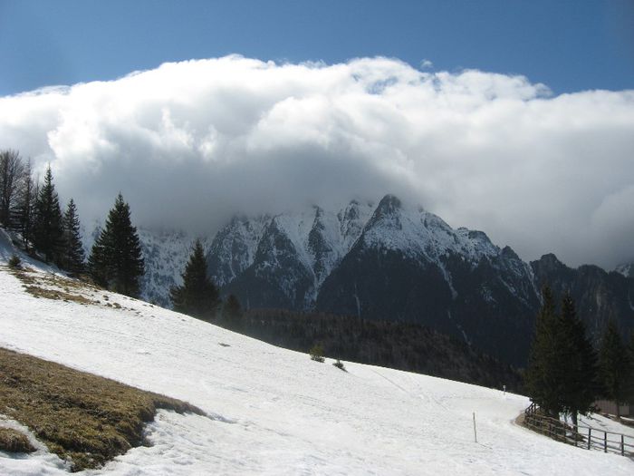 IMG_7933 - drumetii ian-martie 2013