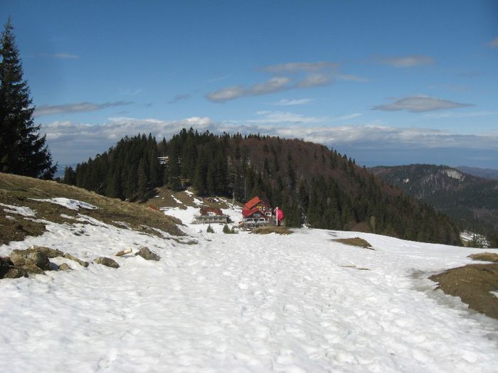 IMG_7939 - drumetii ian-martie 2013