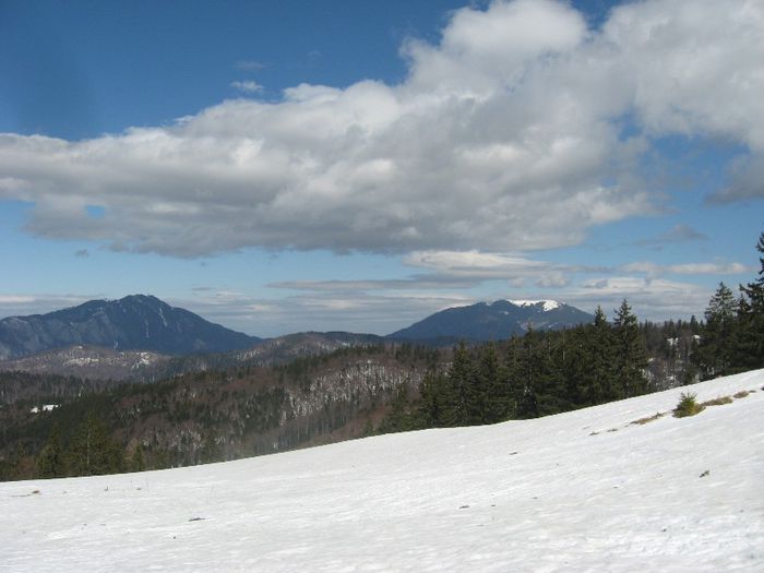 IMG_7940 - drumetii ian-martie 2013