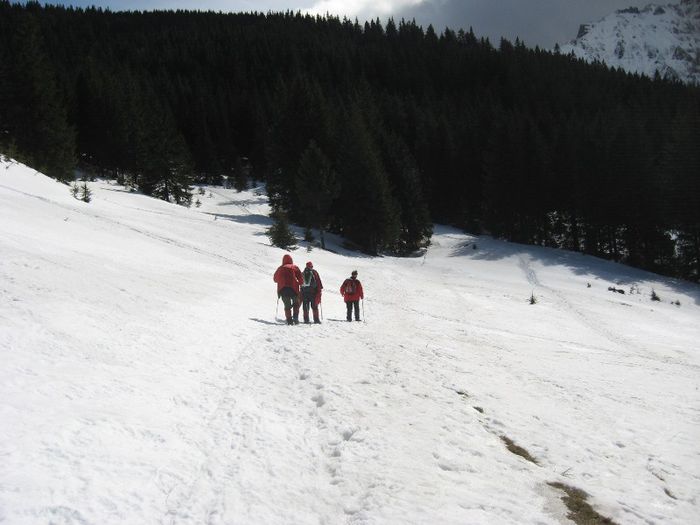 spre POiana Izvoarelor