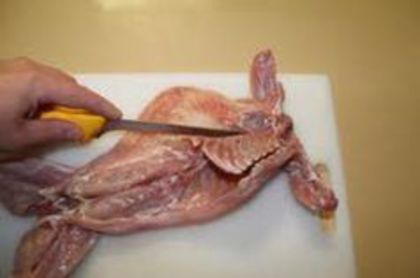 86267708_NELLUSN3 - 9-Transare dezosare de la a la z