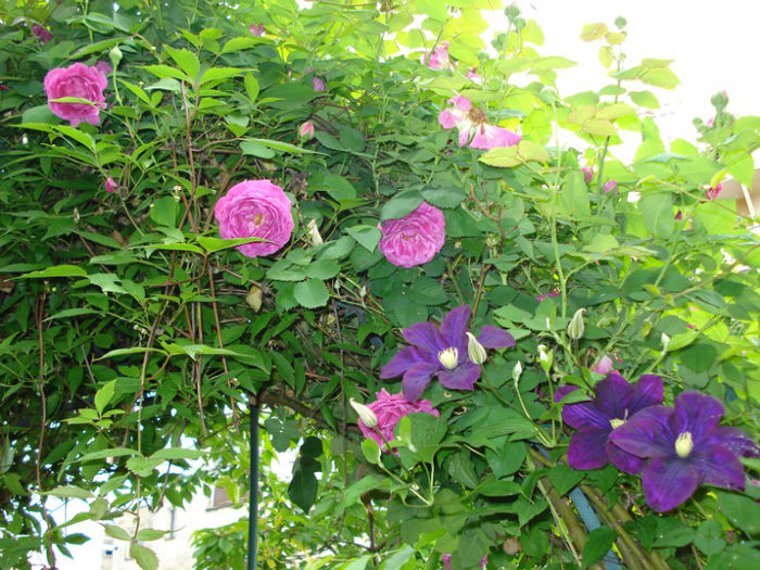 DSC06956