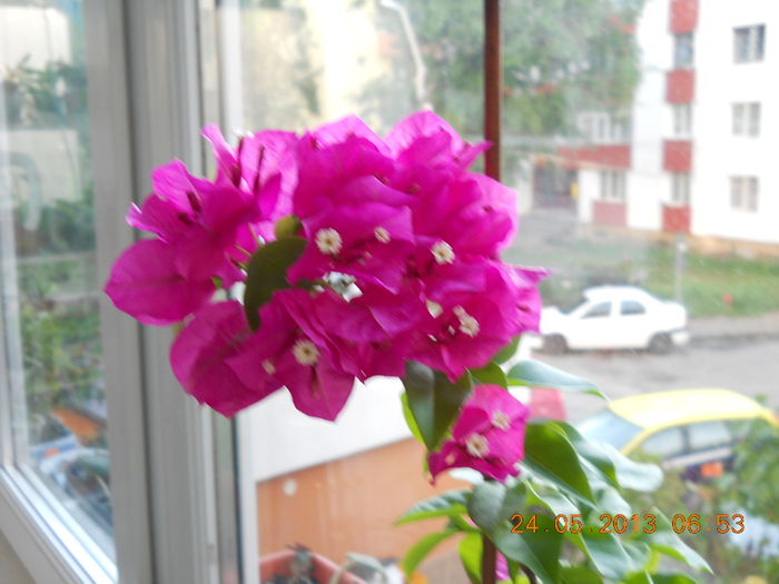 sunt superba - MAI 2013