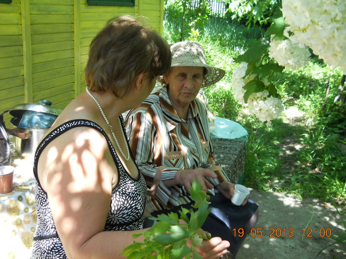 sora mea si soacra mea