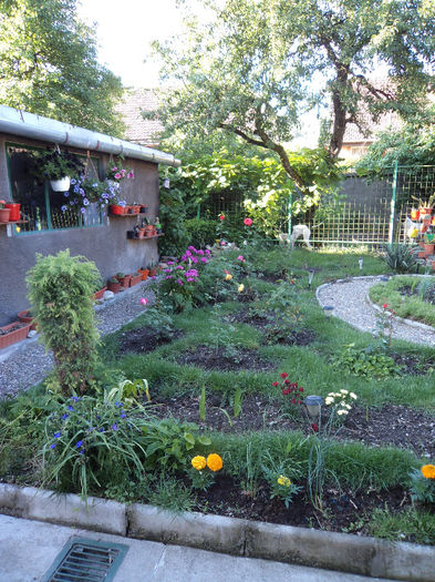 DSC03042 - Flori_2013