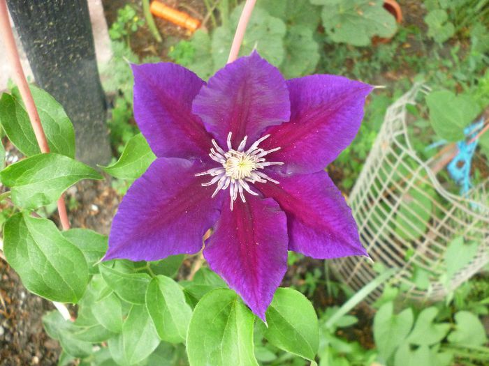P1010896