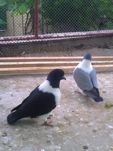 Picture 043