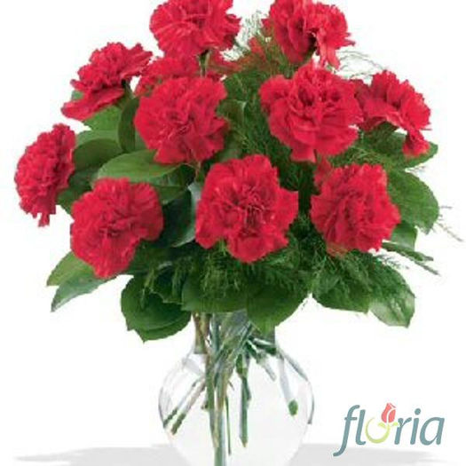 Buchet de 19 garoafe rosii - Garoafe rosii