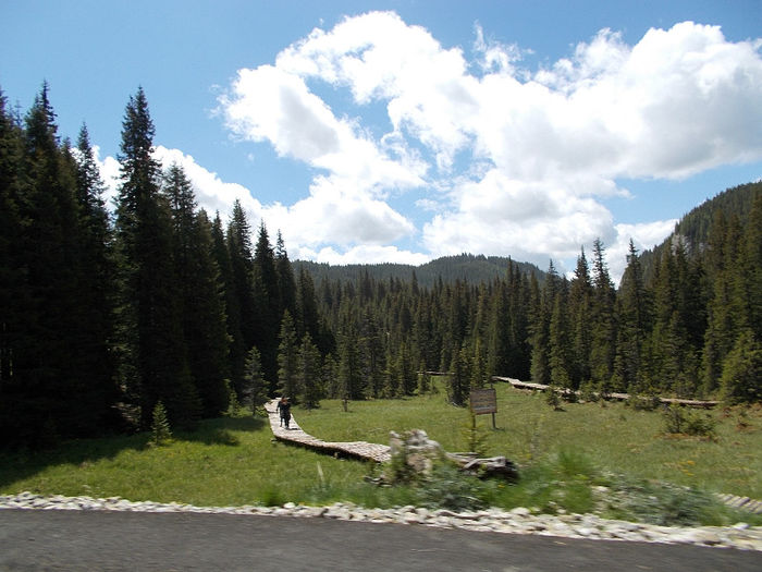 DSCN0094