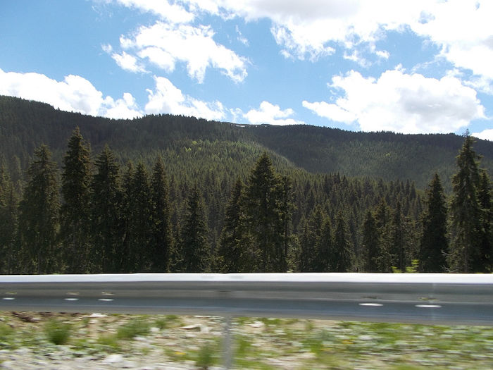 DSCN0097