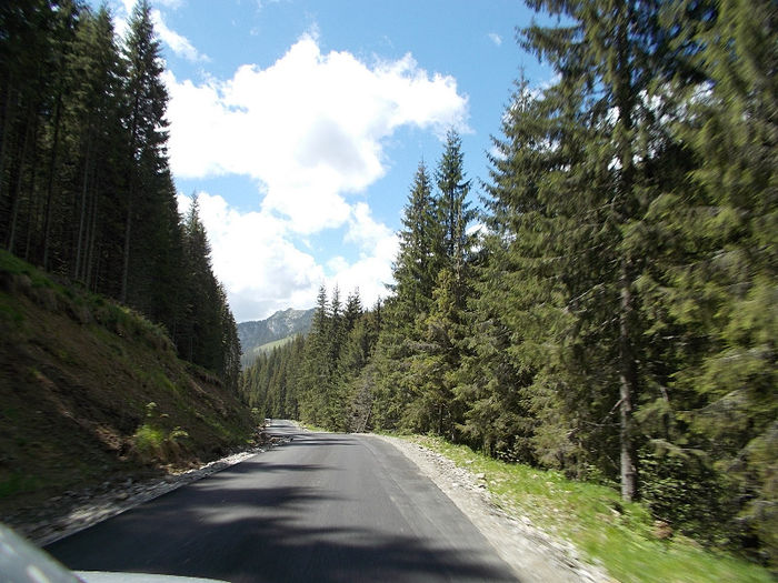 DSCN0099