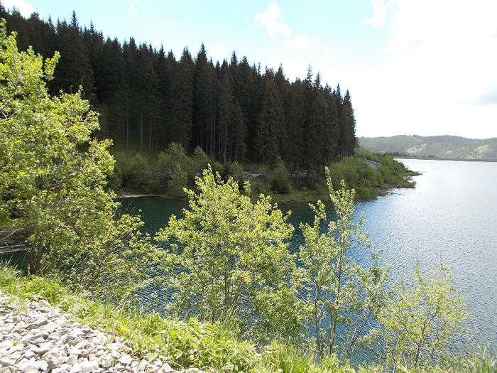 DSCN0111