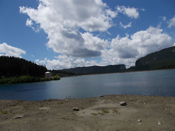 DSCN0117