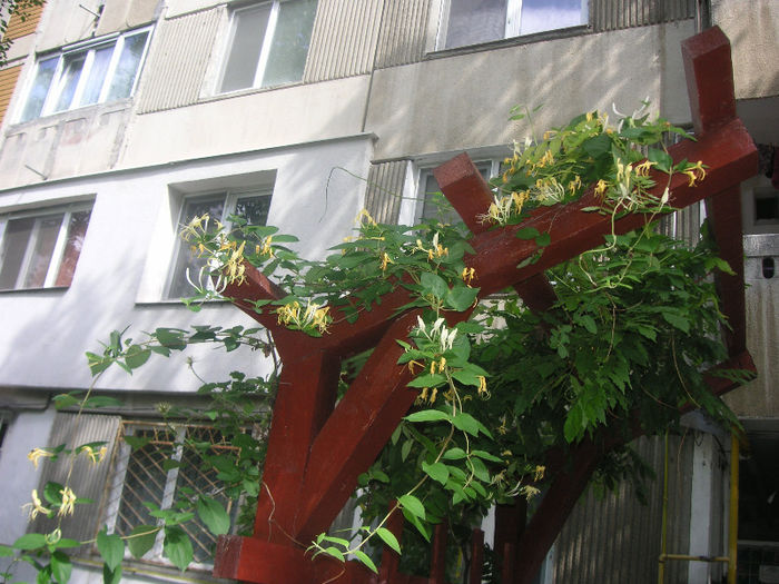SANY0020