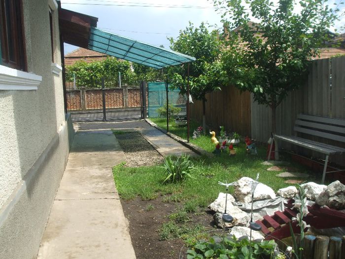 DSCF7005 - gradina mea