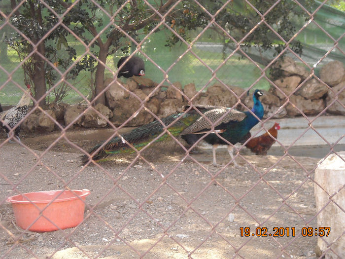 DSCN1775
