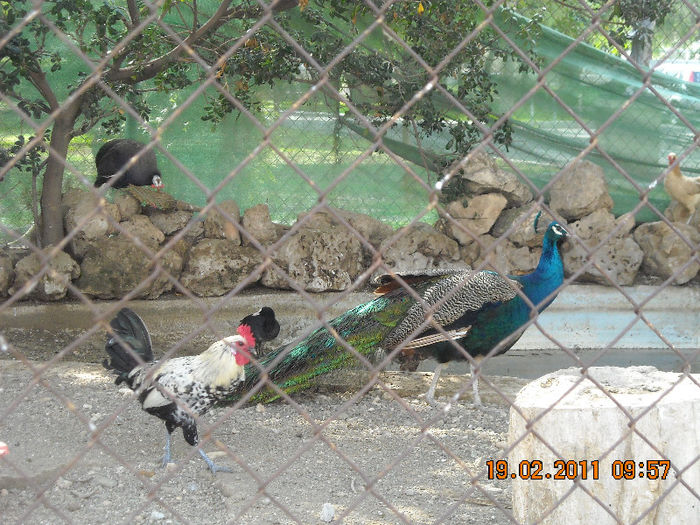DSCN1776