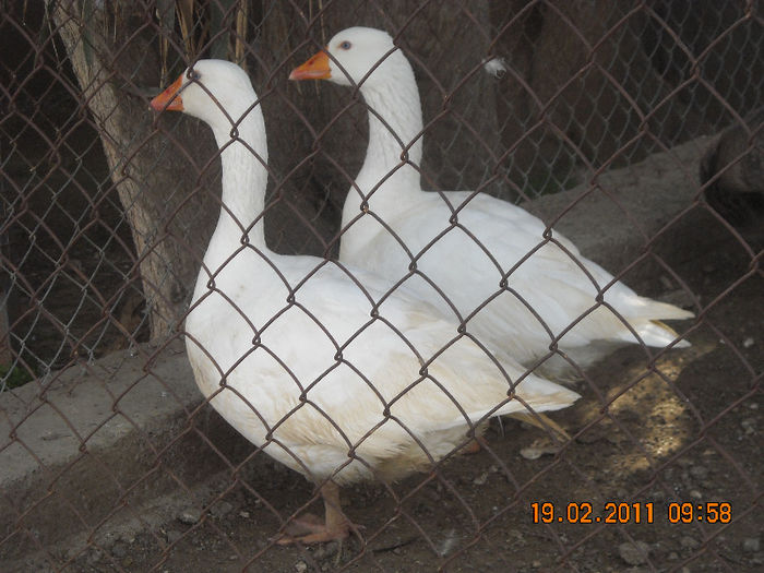 DSCN1780