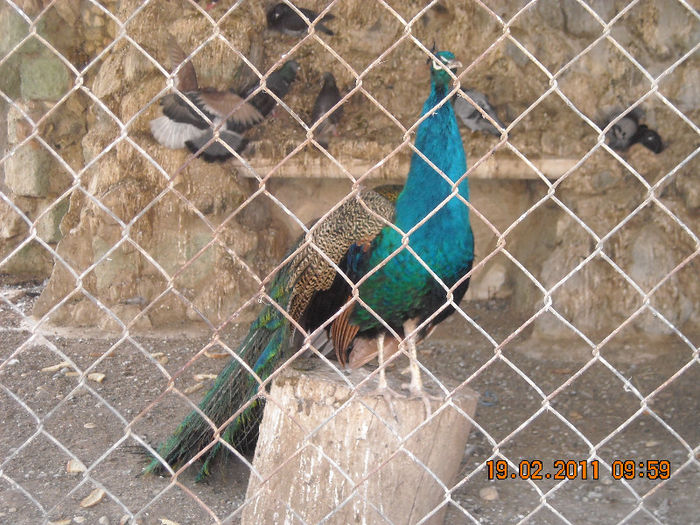 DSCN1783